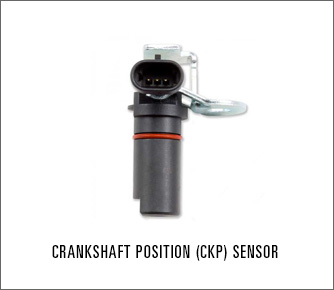 Crankshaft Position Sensor