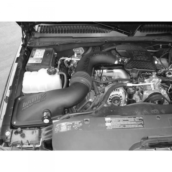 Banks Power 42135-D Ram-Air Intake System with Dry Filter XDP