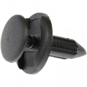 Dorman 961-050D - GM 1/4 Screw Rivets